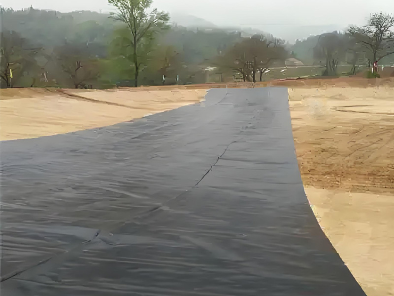 Geomembrane de Fournisseurs De Revêtements En PEHD Imperméable aux Décharges