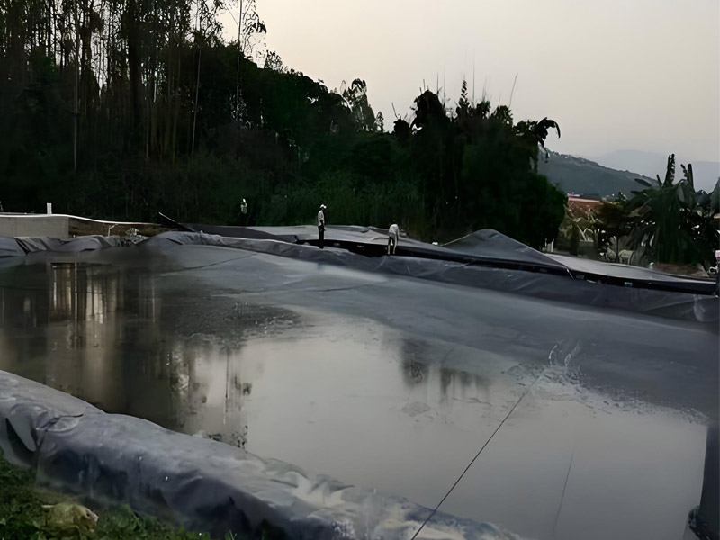 Géomembrane HDPE en Plastique Paysager Pour l'aquaculture