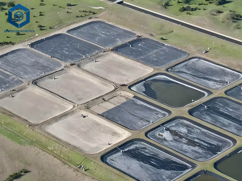 Géomembrane pour Bassin d’Aquaculture