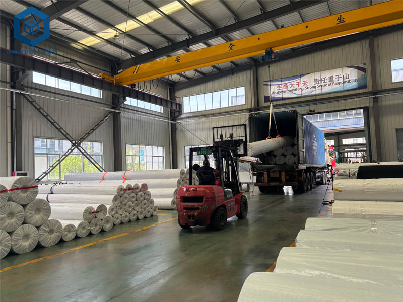 La force de Production Fiable de Géomembranes de BPM