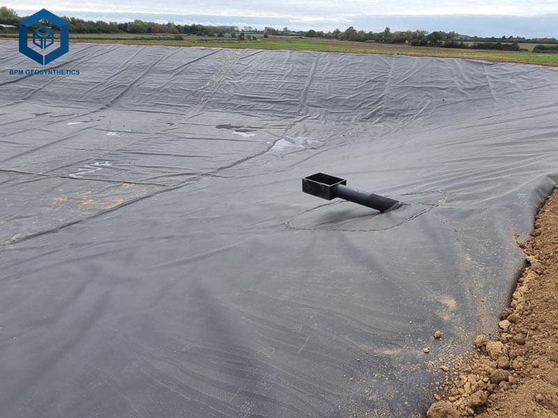 Feuilles de géomembrane en Géomembrane pour Aquaculture