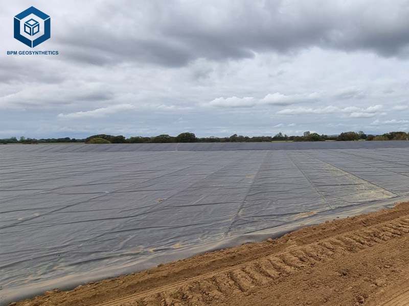 Feuilles de géomembrane 0,75 mm pour Solution Étanche